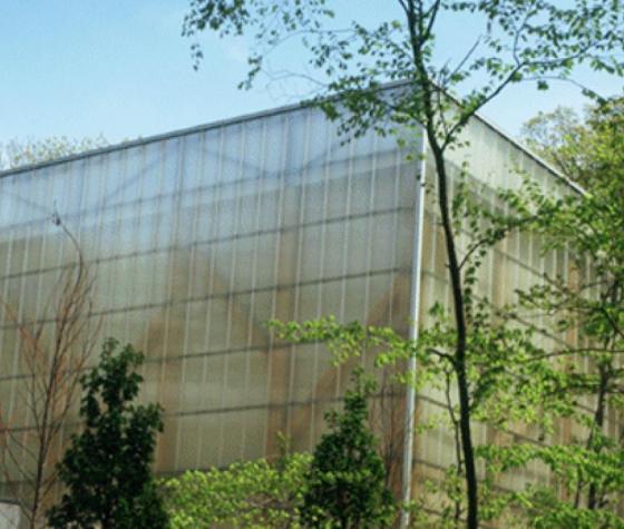 polycarbonate multiwall panel in extruded polycarbonate